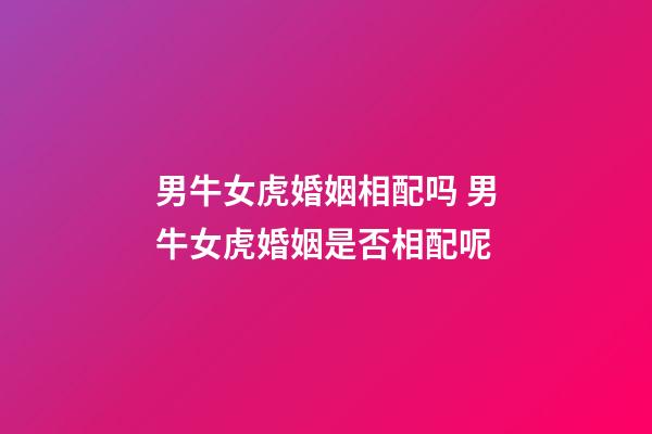 男牛女虎婚姻相配吗 男牛女虎婚姻是否相配呢-第1张-观点-玄机派
